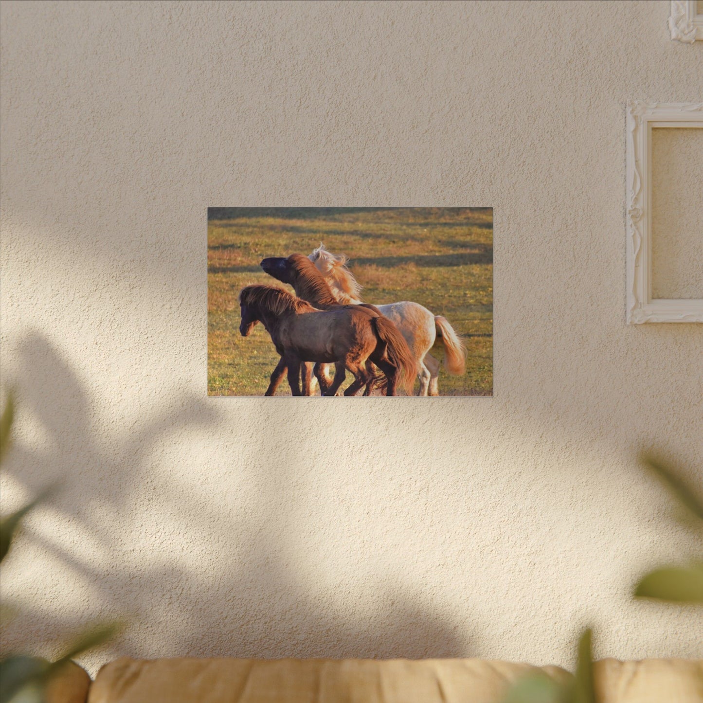 Three horses interacting in a grassy field