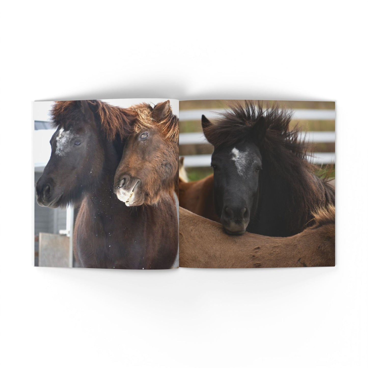 IamGlytja Picture Book: Stjarna Edition softcover