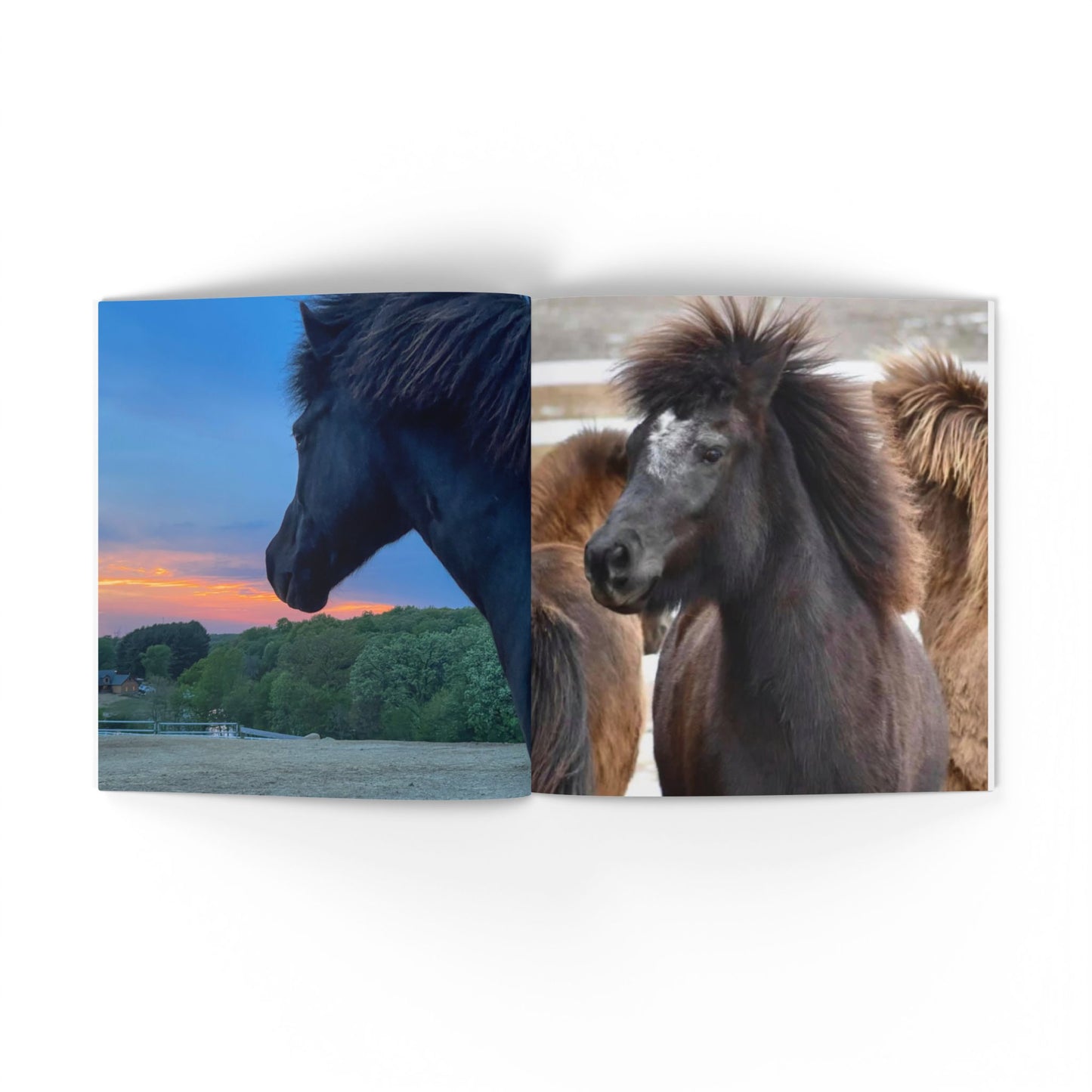 IamGlytja Picture Book: Stjarna Edition softcover