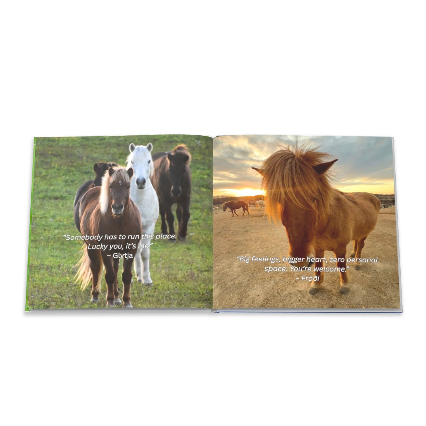 The Herd Speaks hard cover book