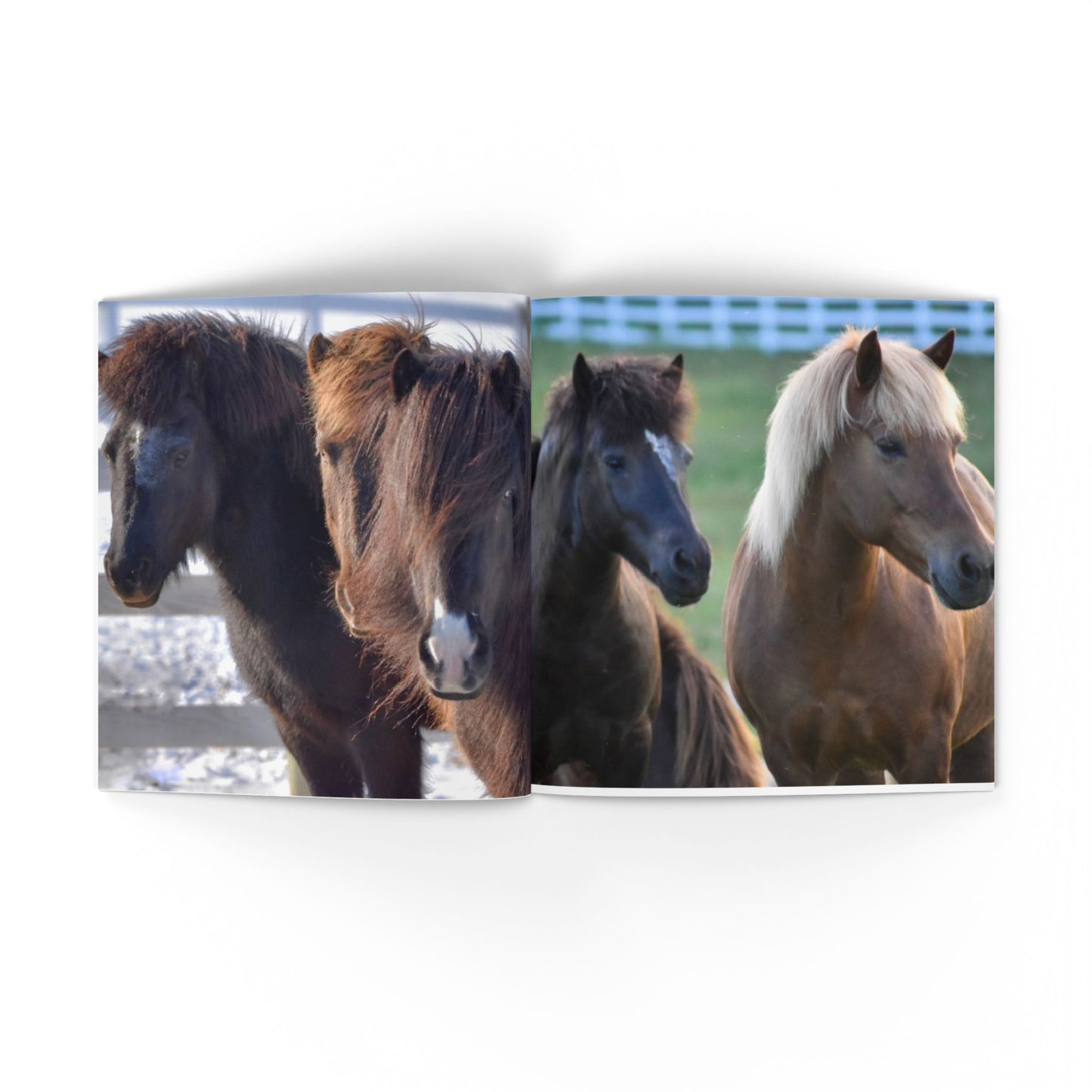 IamGlytja Picture Book: Stjarna Edition softcover