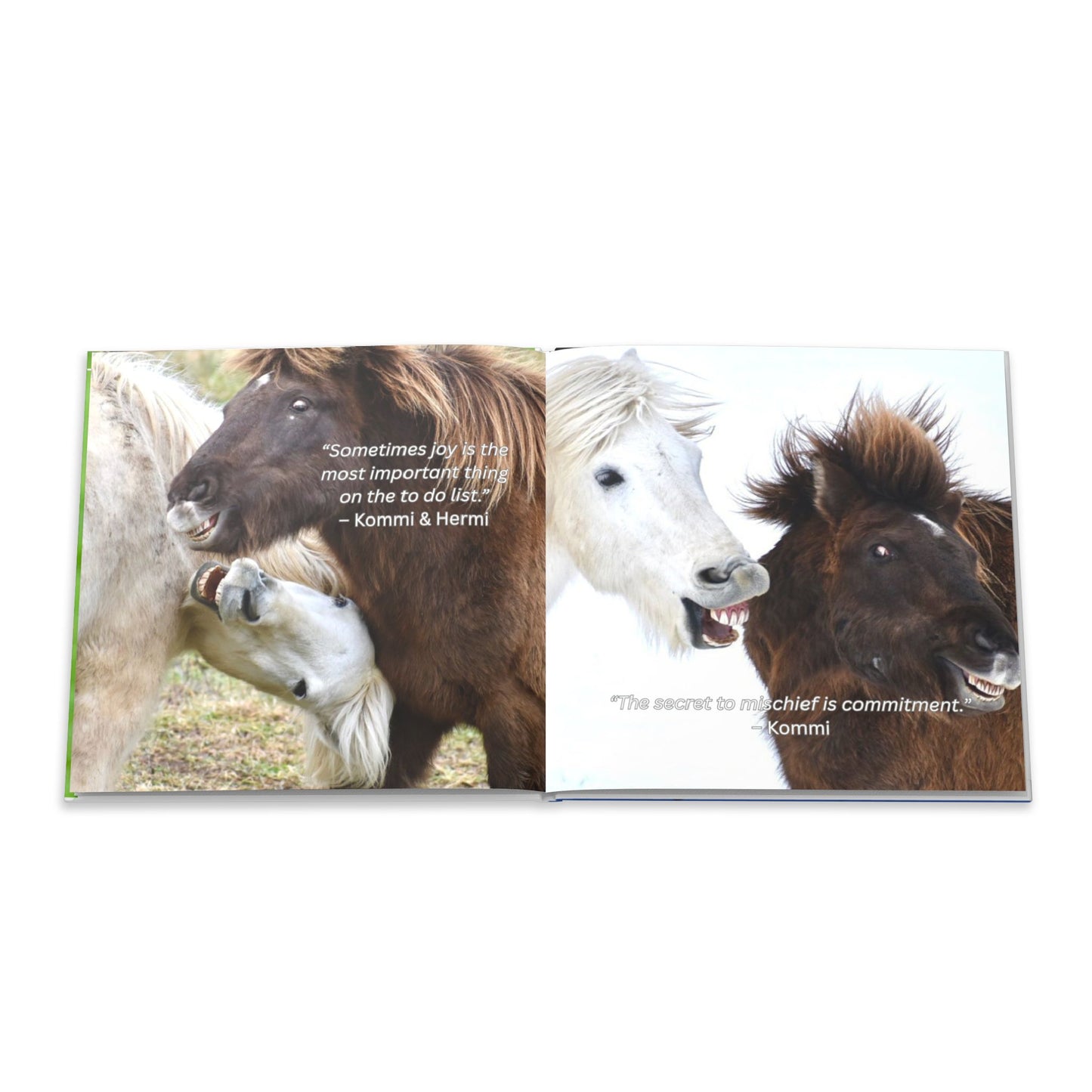The Herd Speaks hard cover book