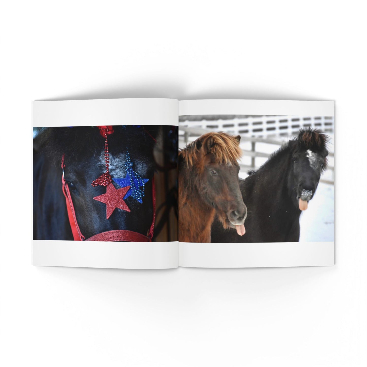 IamGlytja Picture Book: Stjarna Edition softcover