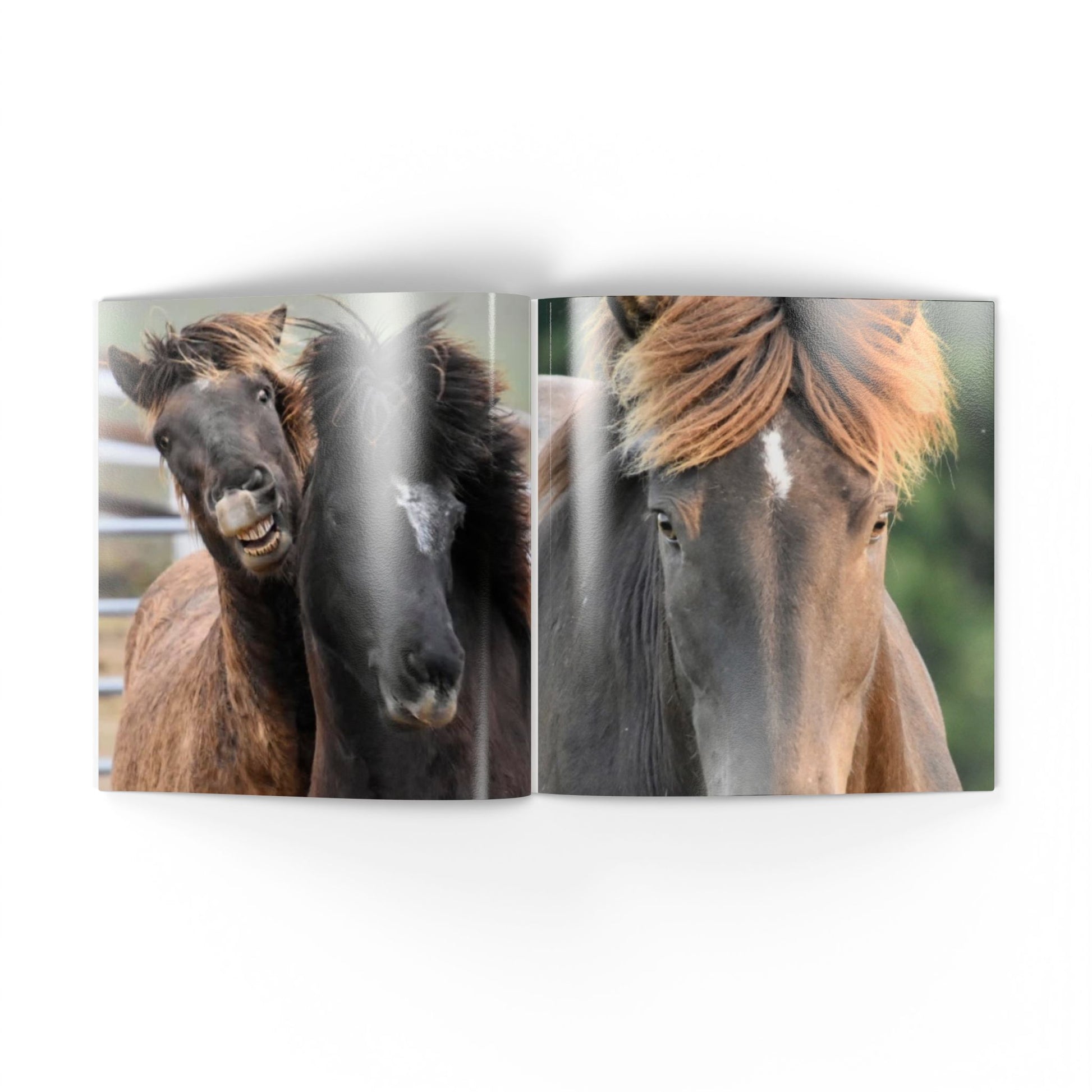 Book open to a page with images of three horses on a white background