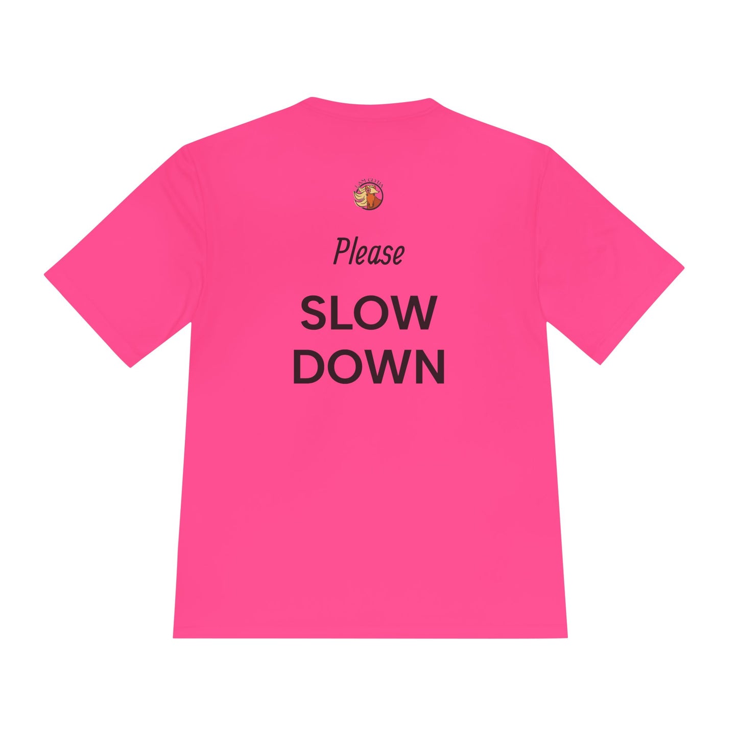 "Please Slow Down" Ladies Tee