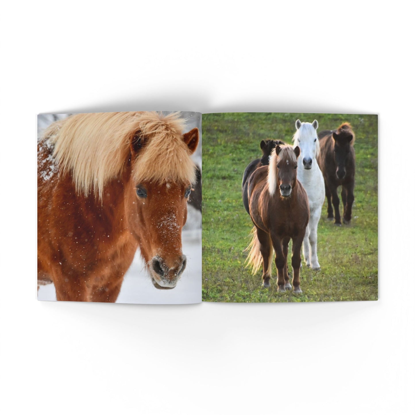IamGlytja Picture Book: Glytja Edition softcover