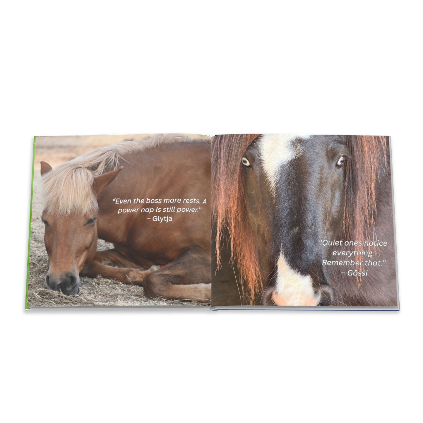 The Herd Speaks hard cover book