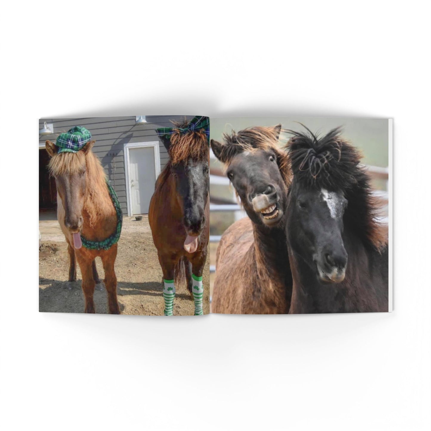 IamGlytja Picture Book: Stjarna Edition softcover
