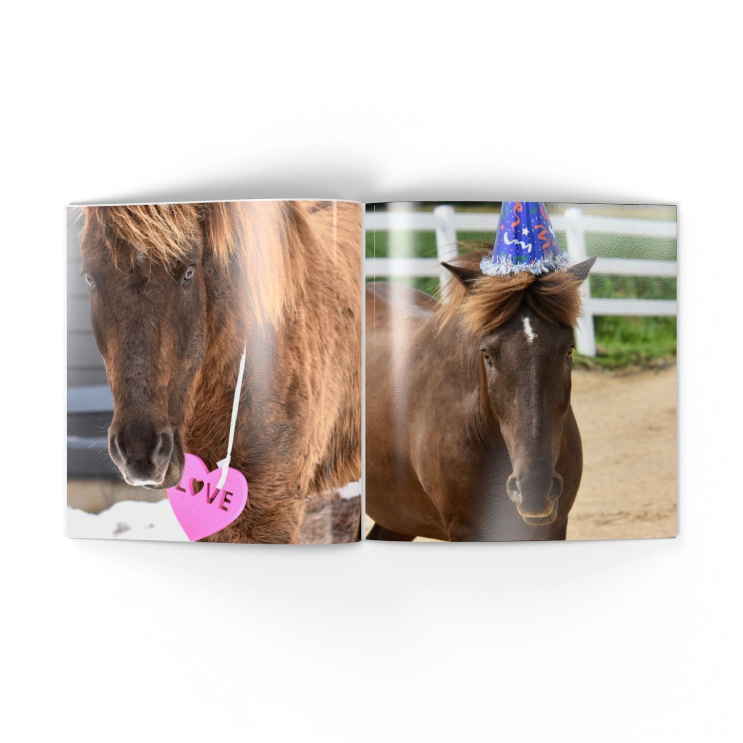 Two horses, one wearing a pink heart-shaped tag and the other a blue party hat, standing side by side.