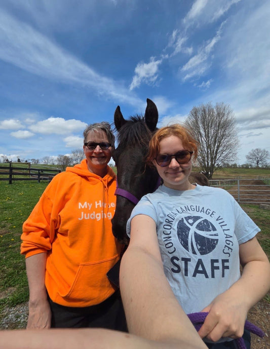 My Horse Is Judging You Hoodie