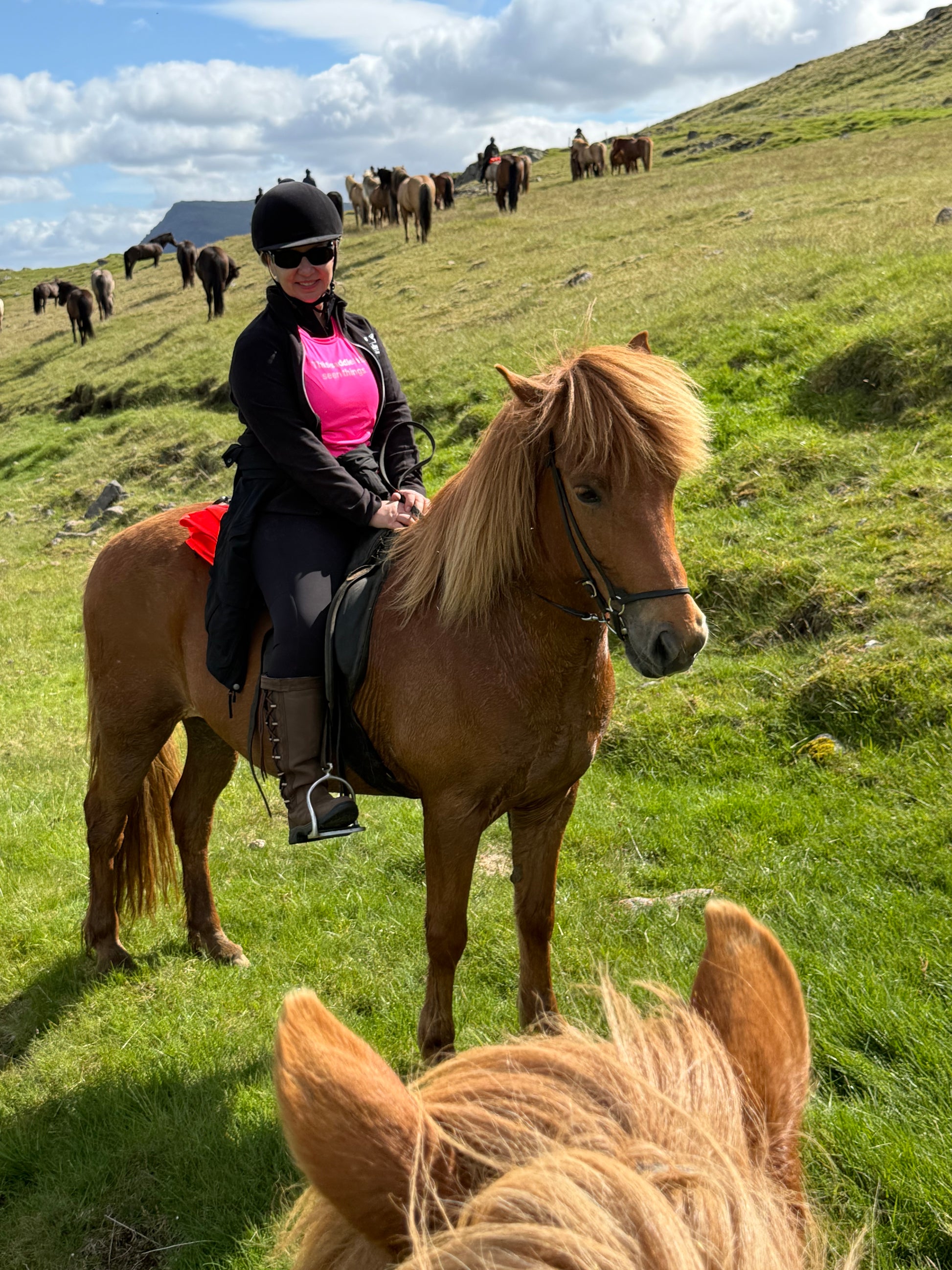 This Saddle Has Seen Things long sleeve tee with logo on the back by IamGlytja