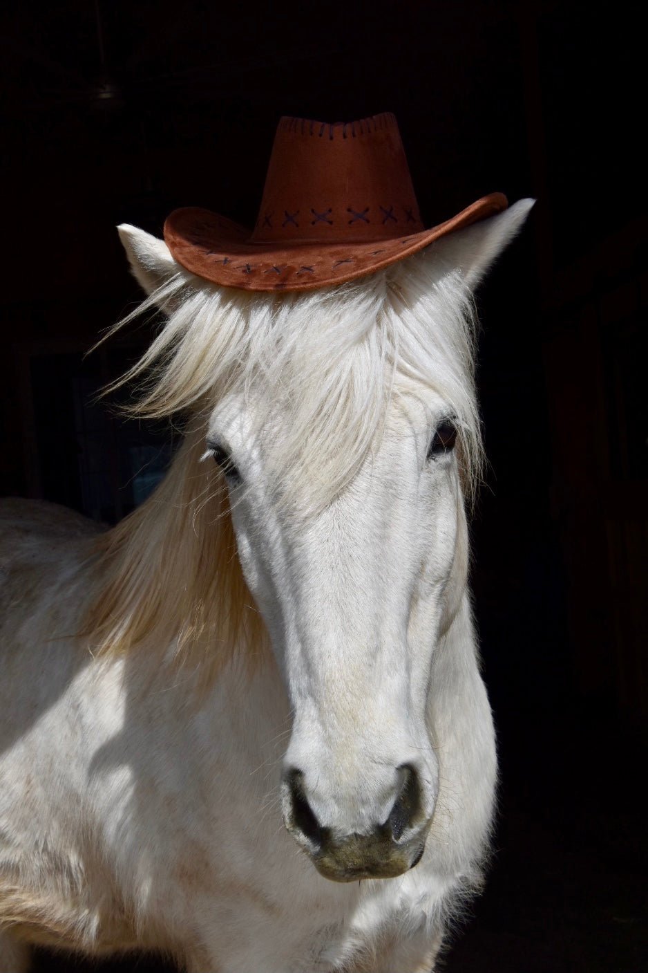 Cowboy Hermi - Iamglytja