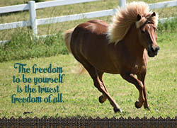 I AM GLYTJA Guided Journal - Iamglytja