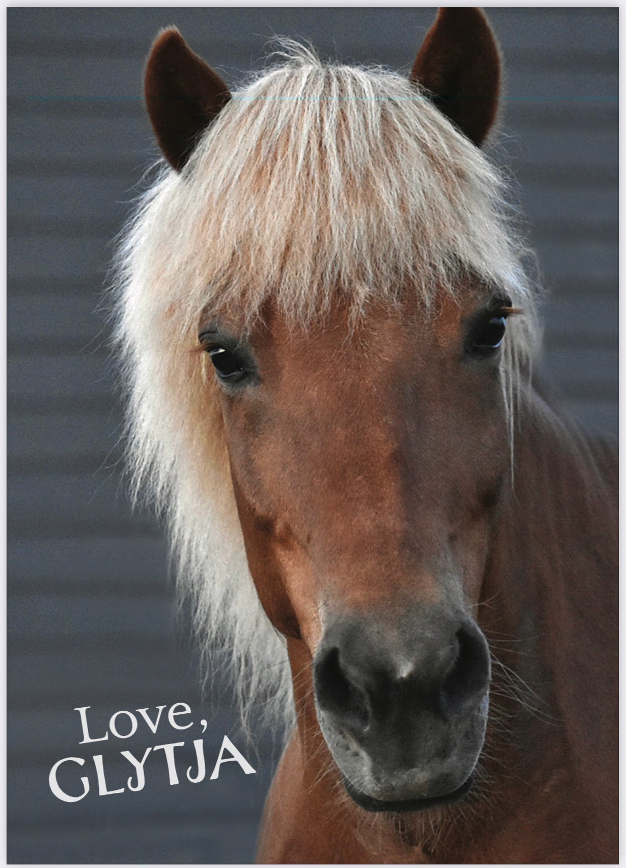 Mini Posters - Iamglytja